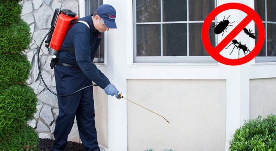 Turgutlu Kemirgen İlaçlama böcek ilaçlama ve haşere kontrolü — ilaclama-tr.com